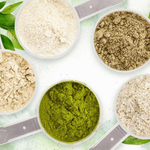 ProDentim ingridient4